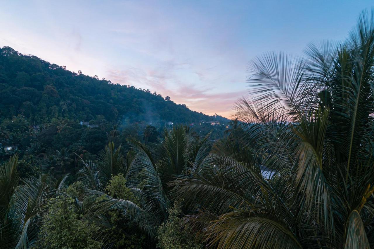 Sun Set Forest Villa Kandy Zewnętrze zdjęcie